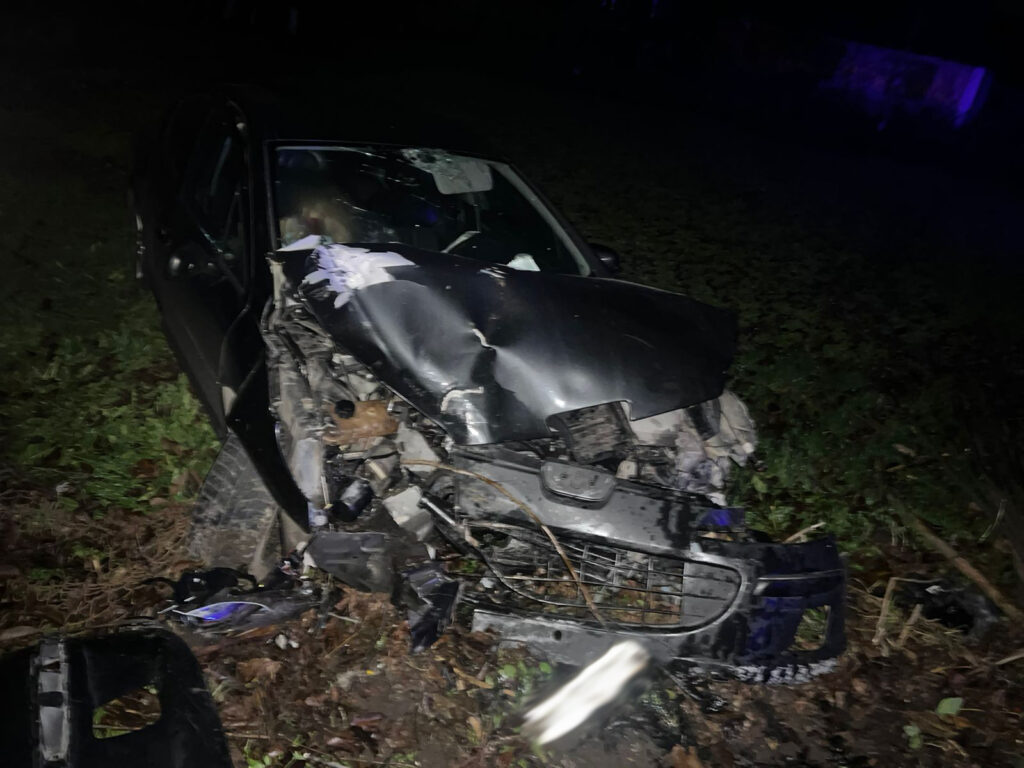 На Львівщині водій “Peugeot” не впорався з керуванням і в`їхав у дерево: постраждала молода жінка (ФОТО)